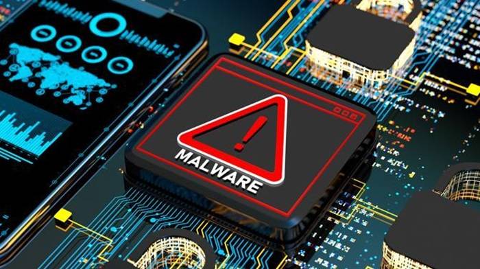 Understanding Malicious Software